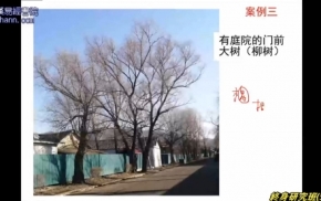 终身研究班第573课下载